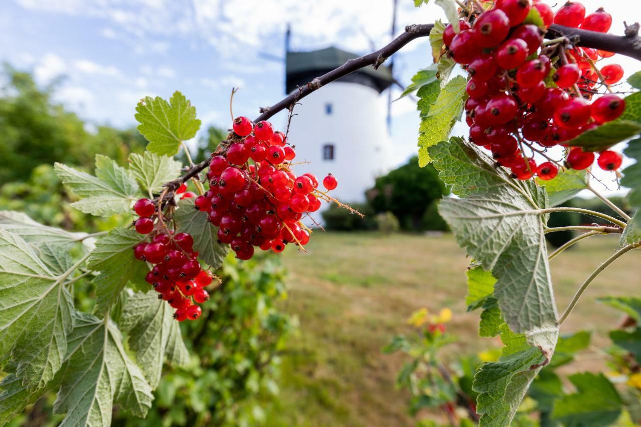 Windmill Vacation Home In Ledzin Near Baltic Sea Niechorze Exterior photo